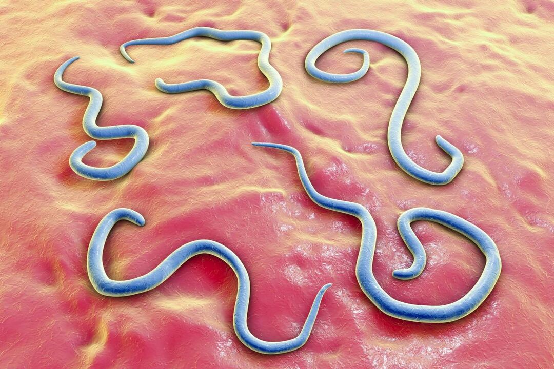 parasitic worms in the human body