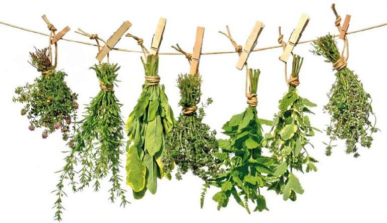 Healing herbs with anti-parasitic properties